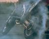 Urban Rodeo: an elected municipal official tries to stop a group of bikers, he is “violently struck” and suffers from several fractures