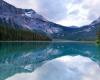 New record for Canada trips to Airbnb in 2024
