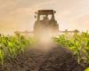 Agricultural campaign 2024-2025: promising prospects according to the ministry