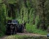 The body of Agathe Hilairet, 28, was found