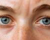 An experimental medication repairs the eye and gives the sight to mice