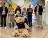 Jurassian teddy bears on a solidarity mission through Switzerland