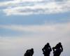 Motorcycle. Death of two pilots during a race in the British championship. Sport