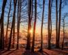 What is the weather in this summer? Météo France unveils its first trends for May, June and July