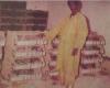 “Diallo Picci”: Back on the life of a resourceful led by its wings!