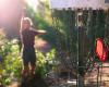 A Disc Golf course to discover in Mézeray