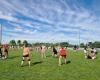 In Joué-lès-Tours, the herb tournament of the volleyball club continues to attract