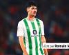 Mercato: The club of the capital attacking Johnny Cardoso (Betis)