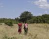 Africans designate their governments as the main responsible for climate action