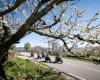 Motorcycle market 2025: Does this gloom spring announce an upturn?