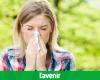 The grass pollens season is back in Belgium: here are the tips to avoid inconvenience