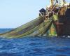 Morocco and Japan want to strengthen their cooperation in the field of maritime fishing – Telquel.ma