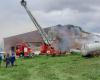 Over 70 cattle are facing the fire from the farm
