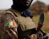 The organization accused of being at the service of foreign powers when it comes to Africa …