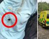 Two German hikers from Blitz met-he went through the T-shirt!