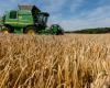 Agricultural campaign: forecast increase of 41% of the cereal harvest
