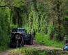 France: the body of the jogger who disappeared in April found
