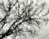 Spring storm arrives in Colorado, bringing rain and snow through Wednesday