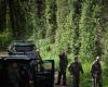 DIRECT. Disappearance of Agathe Hilairet: the body of the young woman found, analyzes in progress to determine the causes of her death