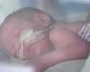 vital “white gold” for premature babies