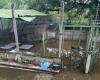This Lot-et-Garonne refuge has been flooded since the construction of a bridge next