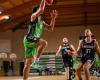 Basketball: demoted Albigensians