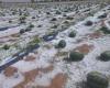 Farmers looking for support after harvests damaged by the storm