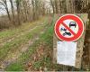 All-terrain traffic: alert on regional natural parks