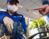 Will the prices of gasoline fall sharply tomorrow?
