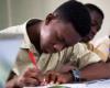 Lower workforce in scientific sectors