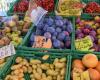 Swiss fruits and vegetables contain tire additives