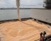 Morocco imported nearly 310,000 tonnes of European wheat in two weeks, a record