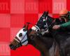 Quinté of Wednesday, May 7, 2025 at night at Longchamp: the forecasts