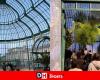 Victims of their success, the royal greenhouses are not unanimous with all visitors: “We are like in a human river”
