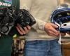 [VIDÉOS] Holy, Cardinals, Jets: The best NFL helmets are made on the set-Mont-Royal