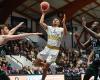 Basketball. N1M: CEP Lorient ends in style in Avignon