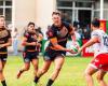 XIII rugby: Albi – Limoux in a Catalan air