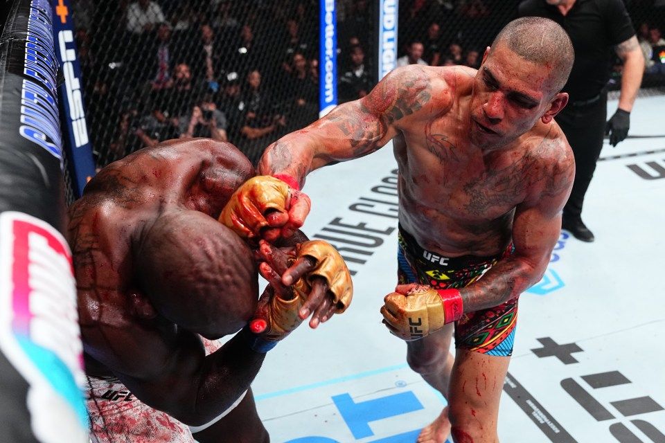 SALT LAKE CITY, UTAH - OCTOBER 05: (R-L) Alex Pereira of Brazil punches Khalil Rountree Jr. in the UFC light heavyweight championship fight during the UFC 307 event at Delta Center on October 05, 2024 in Salt Lake City, Utah. (Photo by Jeff Bottari/Zuffa LLC)