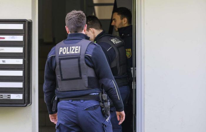 Child pornography network dismantled in France and Germany, nineteen suspects arrested