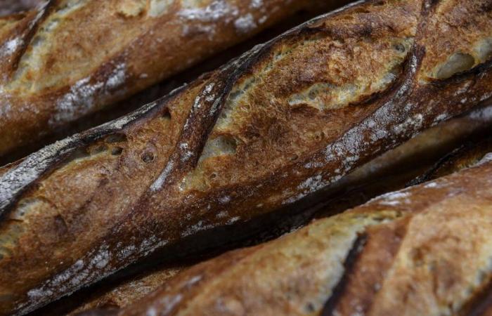 “A source of pride”: the prize for Best Baguette in Paris won by Xavier Netry, from the Utopie bakery in the 11th arrondissement