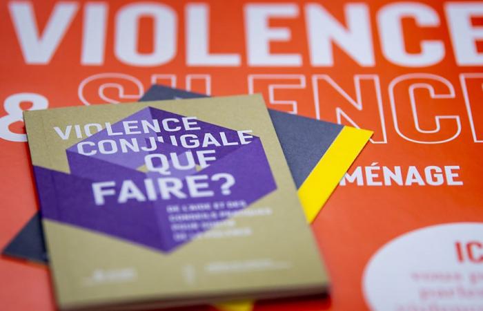 Vaud: domestic violence is on a slight increase