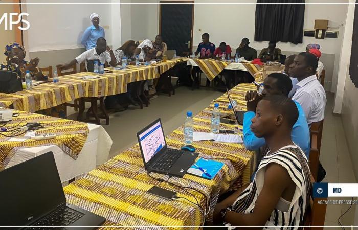 SENEGAL-MEDIA TRAINING / Ziguinchor: 20 journalists trained on the media treatment of migration issues – Senegalese Press Agency