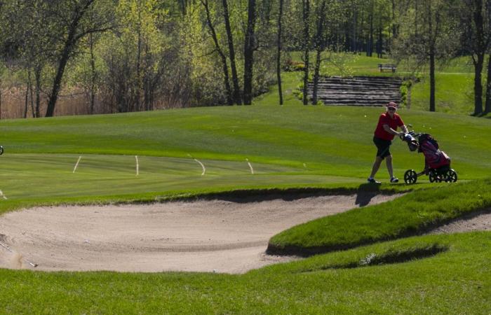 Pesticides soon to be banned on golf courses in Montreal