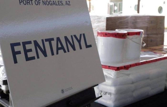 Fentanyl trafficking dismantled in Brittany