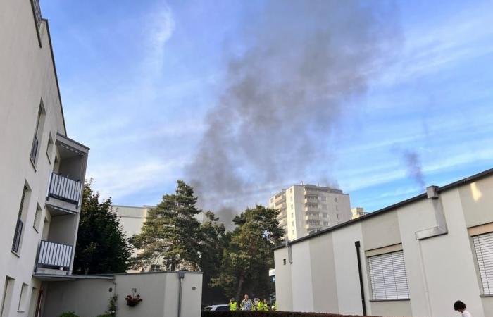 Ursache noch lar – Explosionen in Nussbaumen AG: Polizei bestätigt zwei Todesopfer – News