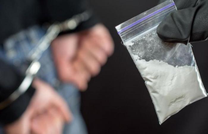 Dismantling of a vast cocaine import network in Europe