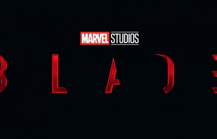 Blade: the next Marvel film loses its director (again)