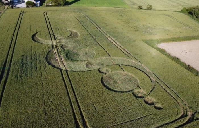 A mysterious symbol is found in a field by a farmer in the English Channel