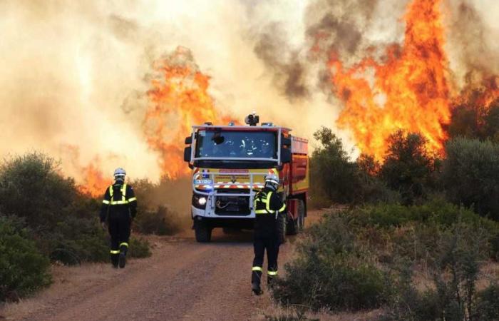 Against forest fires, the government presents its fight and prevention system