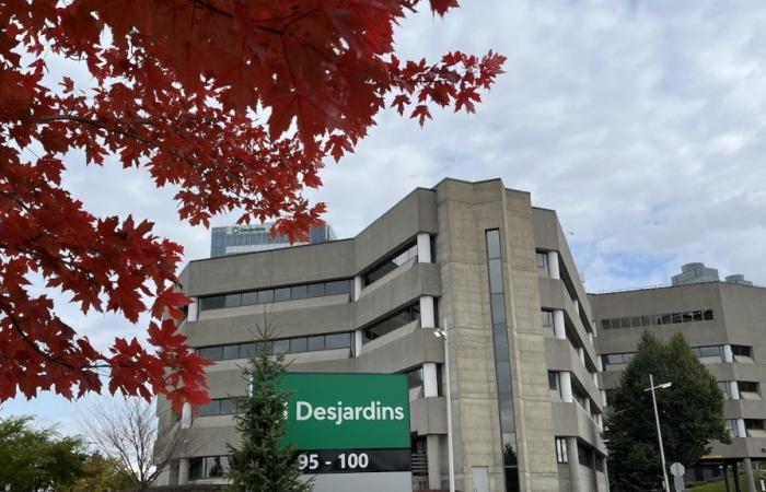 Main suspect in data theft at Desjardins arrested, four others wanted